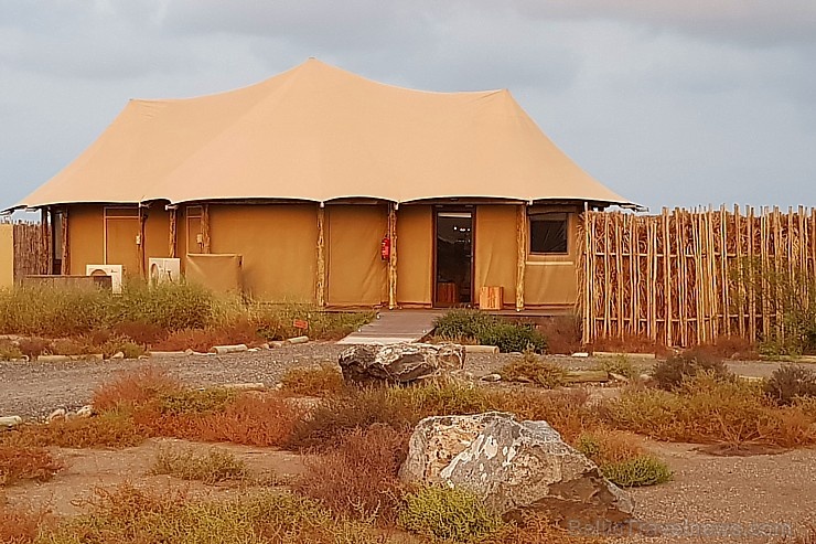 Travelnews.lv nakšņo luksus klases teltī, ko piedāvā «Kingfisher Lodge». Atbalsta: VisitSharjah.com un Novatours.lv Travelnews.lv nakšņo luksus klases teltī, ko piedāvā «Kingfisher Lodge». Atbalsta: VisitSharjah.com un Novatours.lv 270037