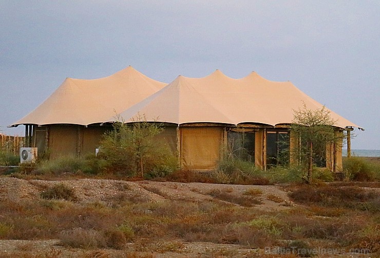 Travelnews.lv nakšņo luksus klases teltī, ko piedāvā «Kingfisher Lodge». Atbalsta: VisitSharjah.com un Novatours.lv Travelnews.lv nakšņo luksus klases teltī, ko piedāvā «Kingfisher Lodge». Atbalsta: VisitSharjah.com un Novatours.lv 270066