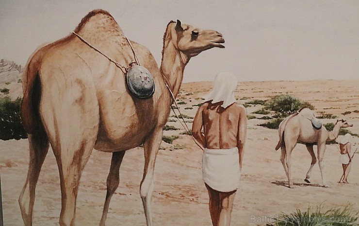 Travelnews.lv apmeklē Šārdžas arheoloģijas muzeju Apvienotajos Arābu Emirātos. Atbalsta: VisitSharjah.com un Novatours.lv Travelnews.lv apmeklē Šārdžas arheoloģijas muzeju Apvienotajos Arābu Emirātos. Atbalsta: VisitSharjah.com un Novatours.lv 271384