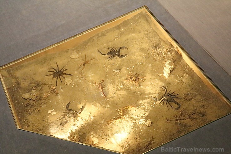 Travelnews.lv apmeklē ļoti atraktīvu un bērniem interesantu «Sharjah Science Museum». Atbalsta: VisitSharjah.com un Novatours.lv Travelnews.lv apmeklē ļoti atraktīvu un bērniem interesantu «Sharjah Science Museum». Atbalsta: VisitSharjah.com un Novatours.lv 271588