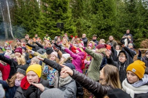 Mežā izvēlas trīs galvenās Rīgas Ziemassvētku egles