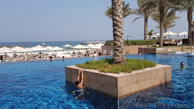 Travelnews,lv izbauda viesnīcas «Sheraton Sharjah Beach Resort & Spa» pludmali. Atbalsta: VisitSharjah.com un Novatours.lv Travelnews,lv izbauda viesnīcas «Sheraton Sharjah Beach Resort & Spa» pludmali. Atbalsta: VisitSharjah.com un Novatours.lv 271906