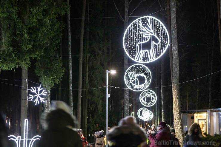 Jau trešo gadu Jūrmalā, Dzintaru mežaparkā, iemirdzējušās gaismas skulptūras un dekori, veidoti no tūkstošiem LED lampiņu virtenēm Jau trešo gadu Jūrmalā, Dzintaru mežaparkā, iemirdzējušās gaismas skulptūras un dekori, veidoti no tūkstošiem LED lampiņu virtenēm 272645