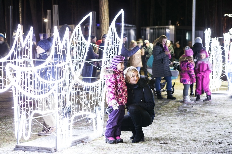 Jau trešo gadu Jūrmalā, Dzintaru mežaparkā, iemirdzējušās gaismas skulptūras un dekori, veidoti no tūkstošiem LED lampiņu virtenēm Jau trešo gadu Jūrmalā, Dzintaru mežaparkā, iemirdzējušās gaismas skulptūras un dekori, veidoti no tūkstošiem LED lampiņu virtenēm 272656