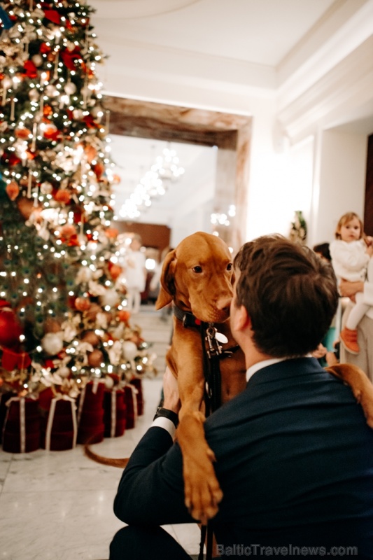 Viesnīca Grand Hotel Kempinski turpinot tradīciju pulcē rīdziniekus uz svinīgo Ziemassvētku egles iedegšanas ceremoniju Viesnīca Grand Hotel Kempinski turpinot tradīciju pulcē rīdziniekus uz svinīgo Ziemassvētku egles iedegšanas ceremoniju 272845