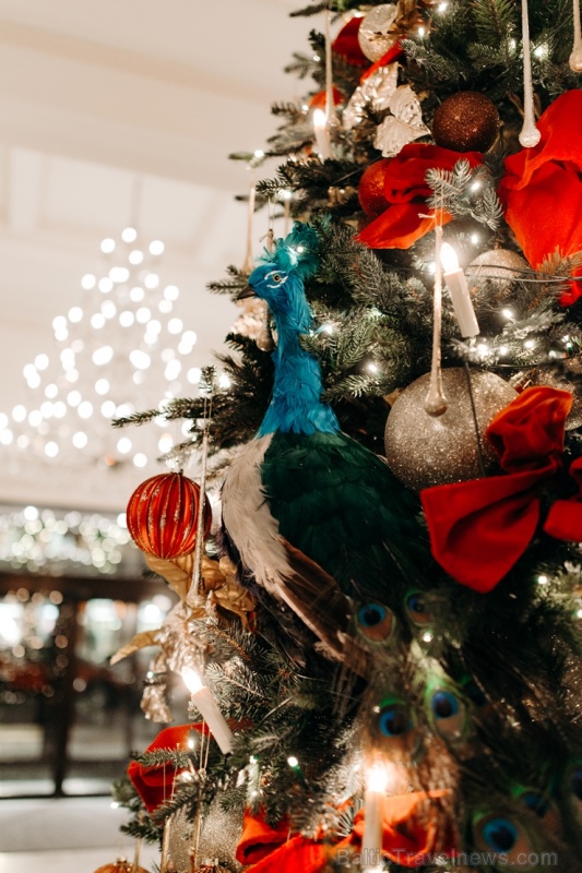 Viesnīca Grand Hotel Kempinski turpinot tradīciju pulcē rīdziniekus uz svinīgo Ziemassvētku egles iedegšanas ceremoniju Viesnīca Grand Hotel Kempinski turpinot tradīciju pulcē rīdziniekus uz svinīgo Ziemassvētku egles iedegšanas ceremoniju 272860