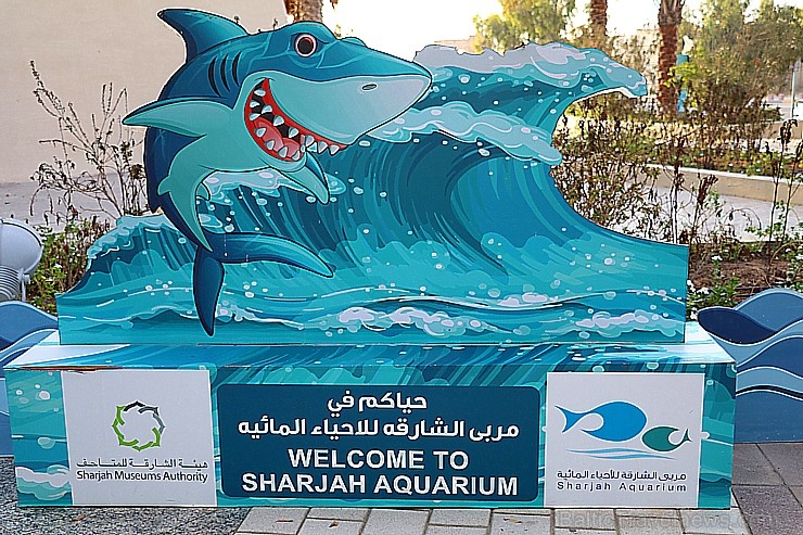 Travelnews.lv apmeklē zemūdens pasauli «Sharjah Aquarium». Atbalsta: VisitSharjah.com un Novatours.lv Travelnews.lv apmeklē zemūdens pasauli «Sharjah Aquarium». Atbalsta: VisitSharjah.com un Novatours.lv 272944