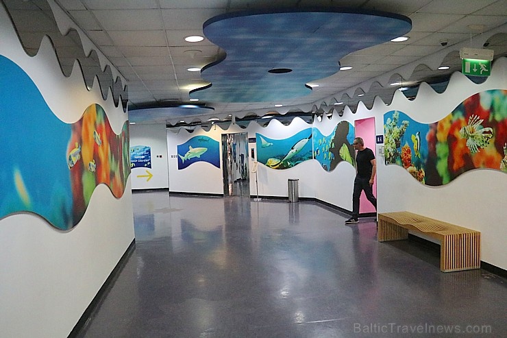 Travelnews.lv apmeklē zemūdens pasauli «Sharjah Aquarium». Atbalsta: VisitSharjah.com un Novatours.lv Travelnews.lv apmeklē zemūdens pasauli «Sharjah Aquarium». Atbalsta: VisitSharjah.com un Novatours.lv 272951