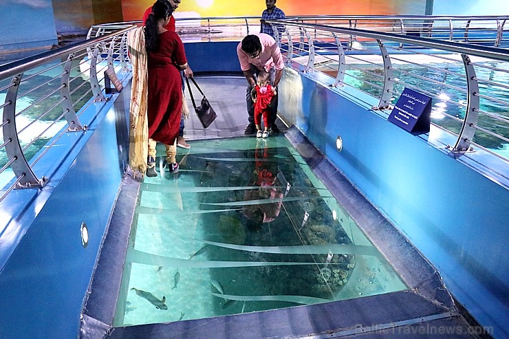 Travelnews.lv apmeklē zemūdens pasauli «Sharjah Aquarium». Atbalsta: VisitSharjah.com un Novatours.lv Travelnews.lv apmeklē zemūdens pasauli «Sharjah Aquarium». Atbalsta: VisitSharjah.com un Novatours.lv 272953