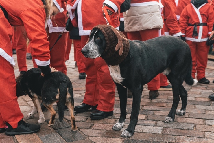 Ziemassvētku vecīšu labdarības skrējiens ir pozitīvām emocijām piepildīts pasākums, kurā ik gadu piedalās simtiem jautru dalībnieku ar mērķi palīdzēt Ziemassvētku vecīšu labdarības skrējiens ir pozitīvām emocijām piepildīts pasākums, kurā ik gadu piedalās simtiem jautru dalībnieku ar mērķi palīdzēt 273092