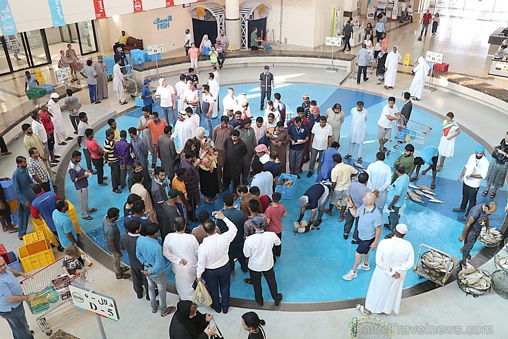 Travelnews.lv apmeklē Šārdžas zivju tirgus izsoli un ekskluzīvi iekļūst ostas zonā. Atbalsta: VisitSharjah.com un Novatours.lv 273209
