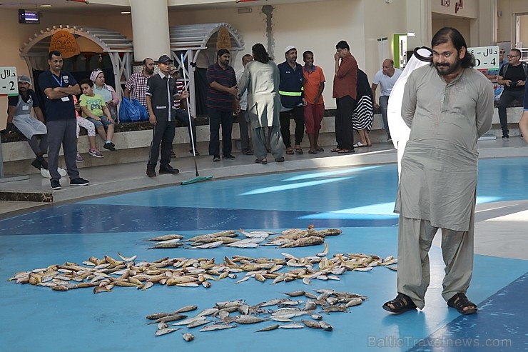 Travelnews.lv apmeklē Šārdžas zivju tirgus izsoli un ekskluzīvi iekļūst ostas zonā. Atbalsta: VisitSharjah.com un Novatours.lv Travelnews.lv apmeklē Šārdžas zivju tirgus izsoli un ekskluzīvi iekļūst ostas zonā. Atbalsta: VisitSharjah.com un Novatours.lv 273227