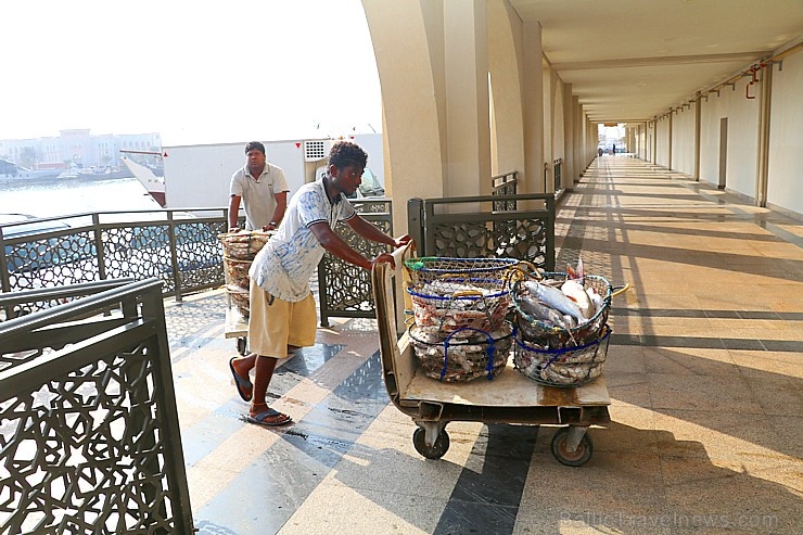 Travelnews.lv apmeklē Šārdžas zivju tirgus izsoli un ekskluzīvi iekļūst ostas zonā. Atbalsta: VisitSharjah.com un Novatours.lv 273236
