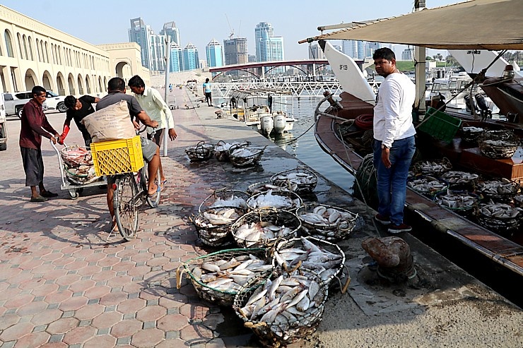 Travelnews.lv apmeklē Šārdžas zivju tirgus izsoli un ekskluzīvi iekļūst ostas zonā. Atbalsta: VisitSharjah.com un Novatours.lv Travelnews.lv apmeklē Šārdžas zivju tirgus izsoli un ekskluzīvi iekļūst ostas zonā. Atbalsta: VisitSharjah.com un Novatours.lv 273237