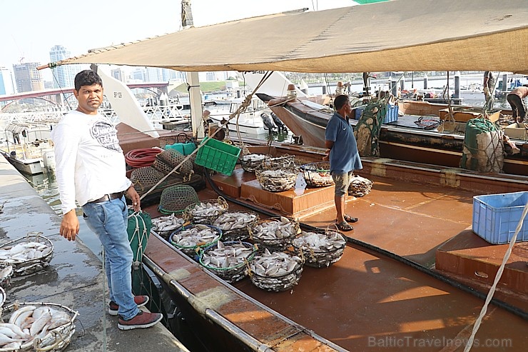 Travelnews.lv apmeklē Šārdžas zivju tirgus izsoli un ekskluzīvi iekļūst ostas zonā. Atbalsta: VisitSharjah.com un Novatours.lv Travelnews.lv apmeklē Šārdžas zivju tirgus izsoli un ekskluzīvi iekļūst ostas zonā. Atbalsta: VisitSharjah.com un Novatours.lv 273238