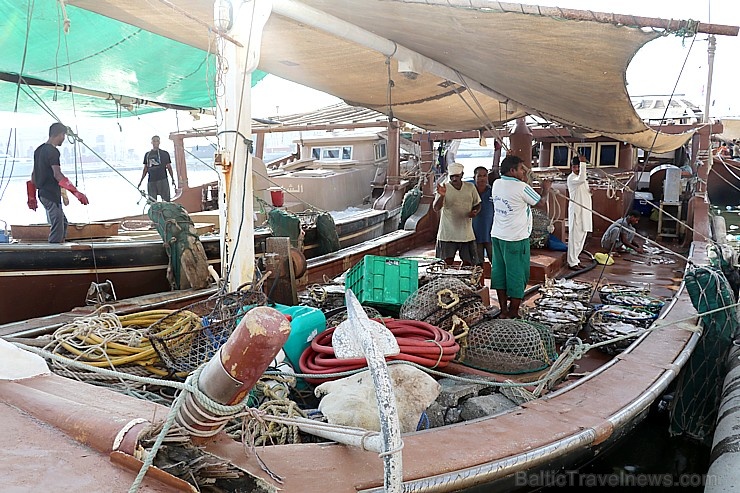 Travelnews.lv apmeklē Šārdžas zivju tirgus izsoli un ekskluzīvi iekļūst ostas zonā. Atbalsta: VisitSharjah.com un Novatours.lv Travelnews.lv apmeklē Šārdžas zivju tirgus izsoli un ekskluzīvi iekļūst ostas zonā. Atbalsta: VisitSharjah.com un Novatours.lv 273242