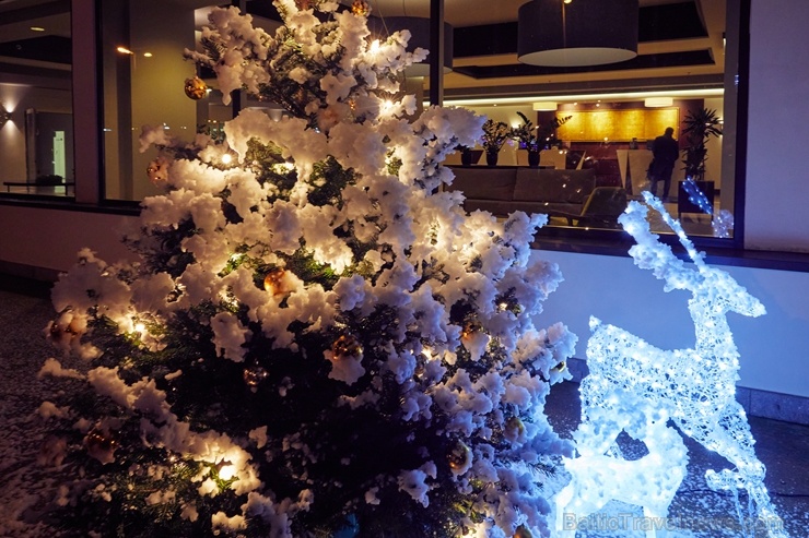 Oficiālā Santa Klausa lidsabiedrība ««Finnair» rīko Ziemassvētku pasākumu sadarbības partneriem viesnīcā «Radisson Blu Daugava Hotel». Foto: Yuris Zal Oficiālā Santa Klausa lidsabiedrība ««Finnair» rīko Ziemassvētku pasākumu sadarbības partneriem viesnīcā «Radisson Blu Daugava Hotel». Foto: Yuris Zal 273687