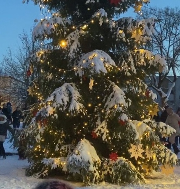 Ziemassvētku egle Lielvārdē 273960