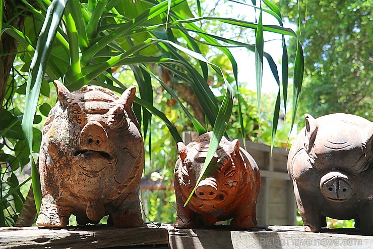 Travelnews.lv iepazīst 3 zvaigžņu Bali viesnīcu «Hotel Puri Bambu». Atbalsta: «Turkish Airlines» un «365 Brīvdienas» Travelnews.lv iepazīst 3 zvaigžņu Bali viesnīcu «Hotel Puri Bambu». Atbalsta: «Turkish Airlines» un «365 Brīvdienas» 275757