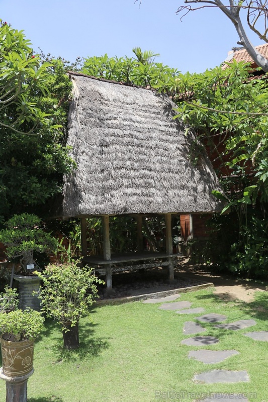 Travelnews.lv iepazīst Bali viesnīcu - «Keraton Jimbaran Beach Resort». «Turkish Airlines» un «365 Brīvdienas» Travelnews.lv iepazīst Bali viesnīcu - «Keraton Jimbaran Beach Resort». «Turkish Airlines» un «365 Brīvdienas» 276754