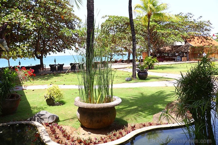 Travelnews.lv iepazīst Bali viesnīcu - «Keraton Jimbaran Beach Resort». «Turkish Airlines» un «365 Brīvdienas» Travelnews.lv iepazīst Bali viesnīcu - «Keraton Jimbaran Beach Resort». «Turkish Airlines» un «365 Brīvdienas» 276775