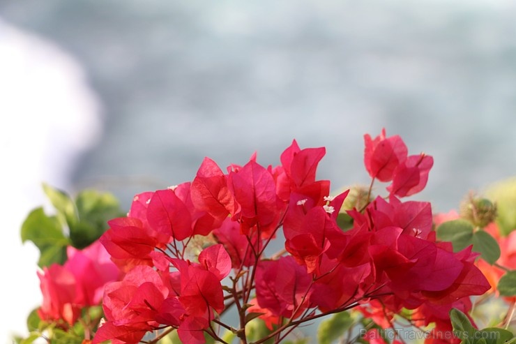 Travelnews.lv iepazīst «Pura Luhur Uluwatu» templi Bali salā. Atbalsta: «Turkish Airlines» un «365 Brīvdienas» Travelnews.lv iepazīst «Pura Luhur Uluwatu» templi Bali salā. Atbalsta: «Turkish Airlines» un «365 Brīvdienas» 276804