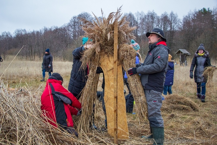 Niedru skulptūru festivāls ik gadu ļauj radoši izpausties un aizraujoši pavadīt laiku svaigā gaisā īpaši aizsargājamā dabas teritorijā Niedru skulptūru festivāls ik gadu ļauj radoši izpausties un aizraujoši pavadīt laiku svaigā gaisā īpaši aizsargājamā dabas teritorijā 276890