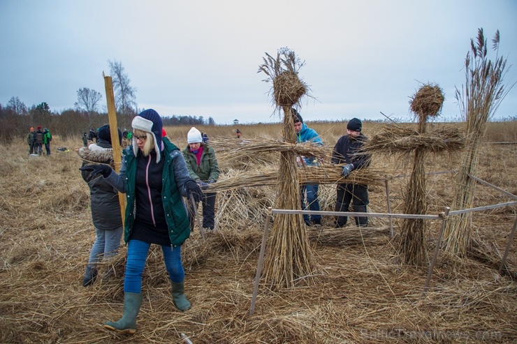 Niedru skulptūru festivāls ik gadu ļauj radoši izpausties un aizraujoši pavadīt laiku svaigā gaisā īpaši aizsargājamā dabas teritorijā Niedru skulptūru festivāls ik gadu ļauj radoši izpausties un aizraujoši pavadīt laiku svaigā gaisā īpaši aizsargājamā dabas teritorijā 276895