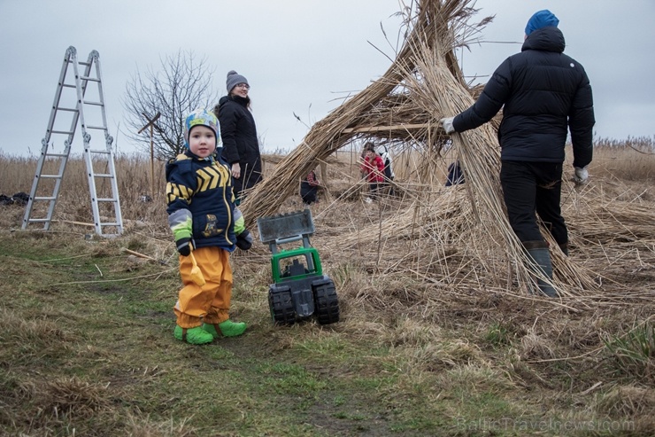 Niedru skulptūru festivāls ik gadu ļauj radoši izpausties un aizraujoši pavadīt laiku svaigā gaisā īpaši aizsargājamā dabas teritorijā Niedru skulptūru festivāls ik gadu ļauj radoši izpausties un aizraujoši pavadīt laiku svaigā gaisā īpaši aizsargājamā dabas teritorijā 276900