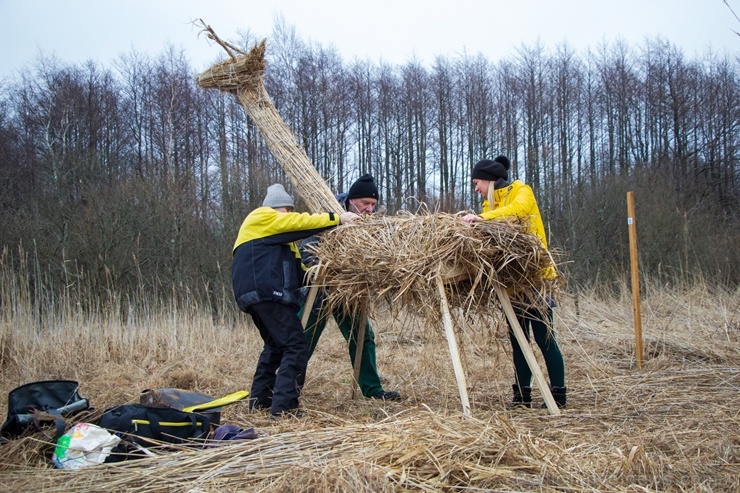 Niedru skulptūru festivāls ik gadu ļauj radoši izpausties un aizraujoši pavadīt laiku svaigā gaisā īpaši aizsargājamā dabas teritorijā Niedru skulptūru festivāls ik gadu ļauj radoši izpausties un aizraujoši pavadīt laiku svaigā gaisā īpaši aizsargājamā dabas teritorijā 276906