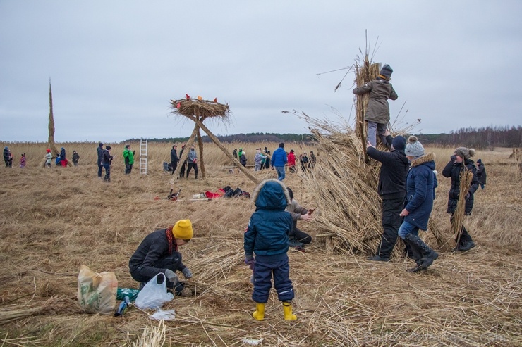 Niedru skulptūru festivāls ik gadu ļauj radoši izpausties un aizraujoši pavadīt laiku svaigā gaisā īpaši aizsargājamā dabas teritorijā Niedru skulptūru festivāls ik gadu ļauj radoši izpausties un aizraujoši pavadīt laiku svaigā gaisā īpaši aizsargājamā dabas teritorijā 276919