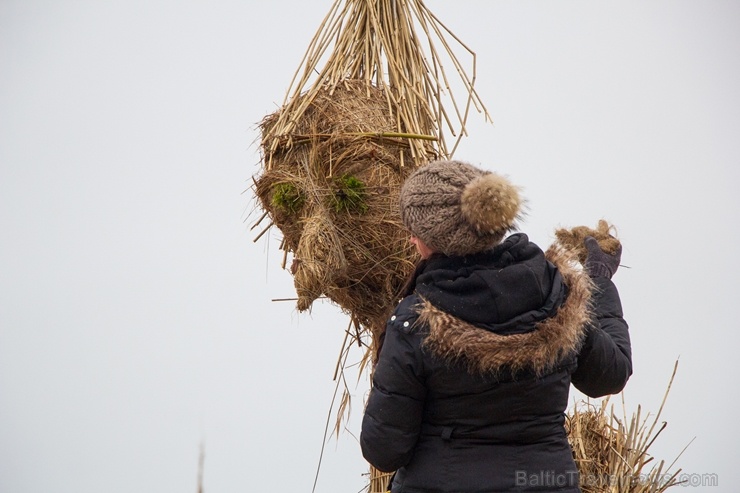 Niedru skulptūru festivāls ik gadu ļauj radoši izpausties un aizraujoši pavadīt laiku svaigā gaisā īpaši aizsargājamā dabas teritorijā Niedru skulptūru festivāls ik gadu ļauj radoši izpausties un aizraujoši pavadīt laiku svaigā gaisā īpaši aizsargājamā dabas teritorijā 276925