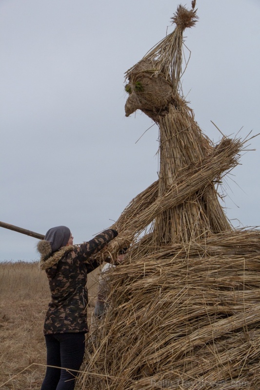 Niedru skulptūru festivāls ik gadu ļauj radoši izpausties un aizraujoši pavadīt laiku svaigā gaisā īpaši aizsargājamā dabas teritorijā Niedru skulptūru festivāls ik gadu ļauj radoši izpausties un aizraujoši pavadīt laiku svaigā gaisā īpaši aizsargājamā dabas teritorijā 276926