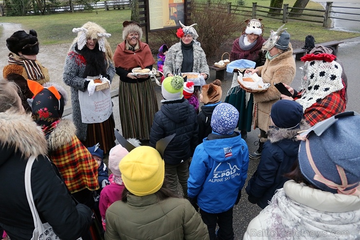 Turaidas muzejrezervātā lustīgi svin latviešu gadskārtu svētkus – Meteņus, iezīmējot zemnieku jaunā gada sākumu un simboliski metot gadskārtu metus uz Turaidas muzejrezervātā lustīgi svin latviešu gadskārtu svētkus – Meteņus, iezīmējot zemnieku jaunā gada sākumu un simboliski metot gadskārtu metus uz 277055