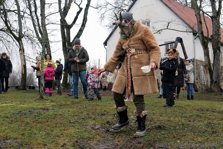 Turaidas muzejrezervātā lustīgi svin latviešu gadskārtu svētkus – Meteņus, iezīmējot zemnieku jaunā gada sākumu un simboliski metot gadskārtu metus uz Turaidas muzejrezervātā lustīgi svin latviešu gadskārtu svētkus – Meteņus, iezīmējot zemnieku jaunā gada sākumu un simboliski metot gadskārtu metus uz 277072