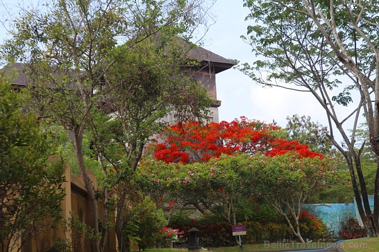 Travelnews.lv iepazīst Bali viesnīcu «Mercure Bali Nusa Dua». Atbalsta: «Turkish Airlines» un «365 Brīvdienas» Travelnews.lv iepazīst Bali viesnīcu «Mercure Bali Nusa Dua». Atbalsta: «Turkish Airlines» un «365 Brīvdienas» 277137