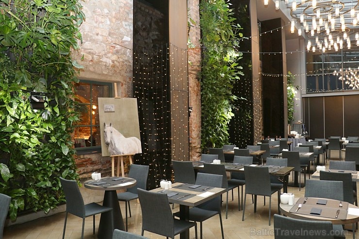 Travelnews.lv izbauda 16.02.2020 Rīgas restorāna «EQUUS Restaurant» eksluzīvu branču ar ASV gaļām Travelnews.lv izbauda 16.02.2020 Rīgas restorāna «EQUUS Restaurant» eksluzīvu branču ar ASV gaļām 277279