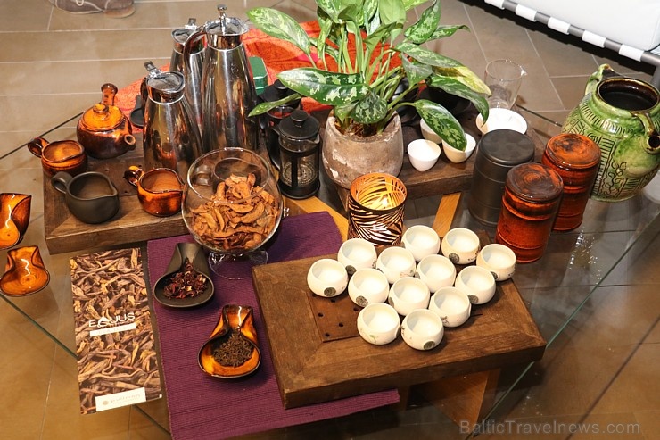 Travelnews.lv izbauda 16.02.2020 Rīgas restorāna «EQUUS Restaurant» eksluzīvu branču ar ASV gaļām Travelnews.lv izbauda 16.02.2020 Rīgas restorāna «EQUUS Restaurant» eksluzīvu branču ar ASV gaļām 277283