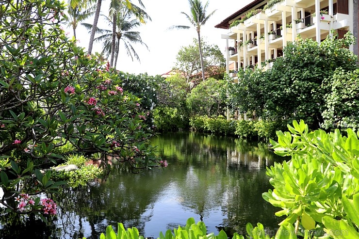 Travelnews.lv iepazīst un nakšņo burvīgā Bali viesnīcā «Ayodya Resort Bali». «Turkish Airlines» un «365 Brīvdienas» Travelnews.lv iepazīst un nakšņo burvīgā Bali viesnīcā «Ayodya Resort Bali». «Turkish Airlines» un «365 Brīvdienas» 277548