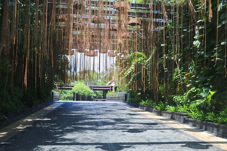 Travelnews.lv iepazīst burvīgu Bali dizaina viesnīcu «The St. Regis Bali Resort». «Turkish Airlines» un «365 Brīvdienas» Travelnews.lv iepazīst burvīgu Bali dizaina viesnīcu «The St. Regis Bali Resort». «Turkish Airlines» un «365 Brīvdienas» 278896
