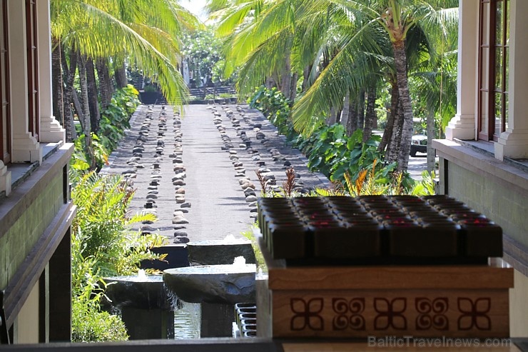 Travelnews.lv iepazīst burvīgu Bali dizaina viesnīcu «The St. Regis Bali Resort». «Turkish Airlines» un «365 Brīvdienas» Travelnews.lv iepazīst burvīgu Bali dizaina viesnīcu «The St. Regis Bali Resort». «Turkish Airlines» un «365 Brīvdienas» 278904