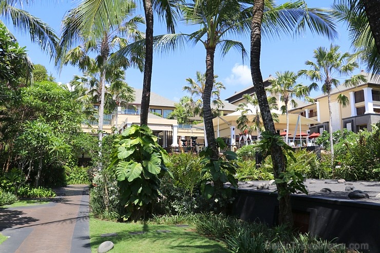 Travelnews.lv iepazīst burvīgu Bali dizaina viesnīcu «The St. Regis Bali Resort». «Turkish Airlines» un «365 Brīvdienas» Travelnews.lv iepazīst burvīgu Bali dizaina viesnīcu «The St. Regis Bali Resort». «Turkish Airlines» un «365 Brīvdienas» 278952