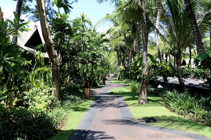 Travelnews.lv iepazīst burvīgu Bali dizaina viesnīcu «The St. Regis Bali Resort». «Turkish Airlines» un «365 Brīvdienas» Travelnews.lv iepazīst burvīgu Bali dizaina viesnīcu «The St. Regis Bali Resort». «Turkish Airlines» un «365 Brīvdienas» 278954