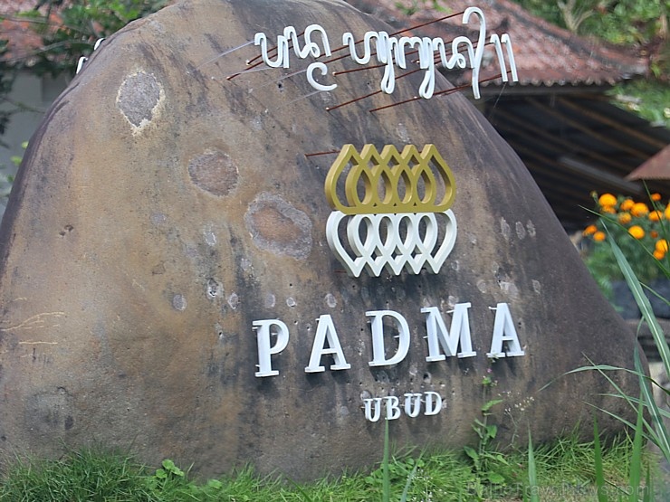 Travelnews.lv iepazīst ainavisku Bali viesnīcu «Padma Resort Ubud». Atbalsta: «Turkish Airlines» un «365 Brīvdienas» Travelnews.lv iepazīst ainavisku Bali viesnīcu «Padma Resort Ubud». Atbalsta: «Turkish Airlines» un «365 Brīvdienas» 279156