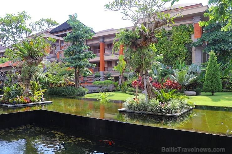 Travelnews.lv iepazīst ainavisku Bali viesnīcu «Padma Resort Ubud». Atbalsta: «Turkish Airlines» un «365 Brīvdienas» Travelnews.lv iepazīst ainavisku Bali viesnīcu «Padma Resort Ubud». Atbalsta: «Turkish Airlines» un «365 Brīvdienas» 279157
