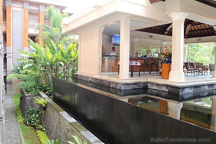 Travelnews.lv iepazīst ainavisku Bali viesnīcu «Padma Resort Ubud». Atbalsta: «Turkish Airlines» un «365 Brīvdienas» Travelnews.lv iepazīst ainavisku Bali viesnīcu «Padma Resort Ubud». Atbalsta: «Turkish Airlines» un «365 Brīvdienas» 279162