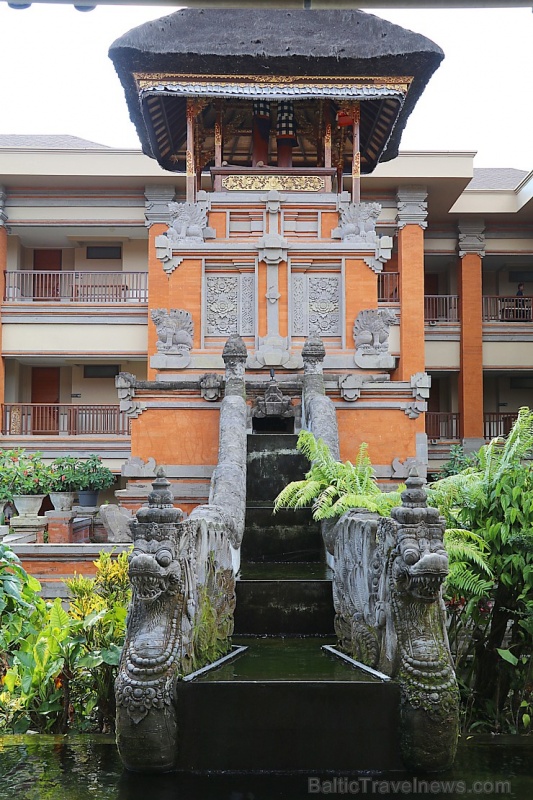Travelnews.lv iepazīst ainavisku Bali viesnīcu «Padma Resort Ubud». Atbalsta: «Turkish Airlines» un «365 Brīvdienas» Travelnews.lv iepazīst ainavisku Bali viesnīcu «Padma Resort Ubud». Atbalsta: «Turkish Airlines» un «365 Brīvdienas» 279165