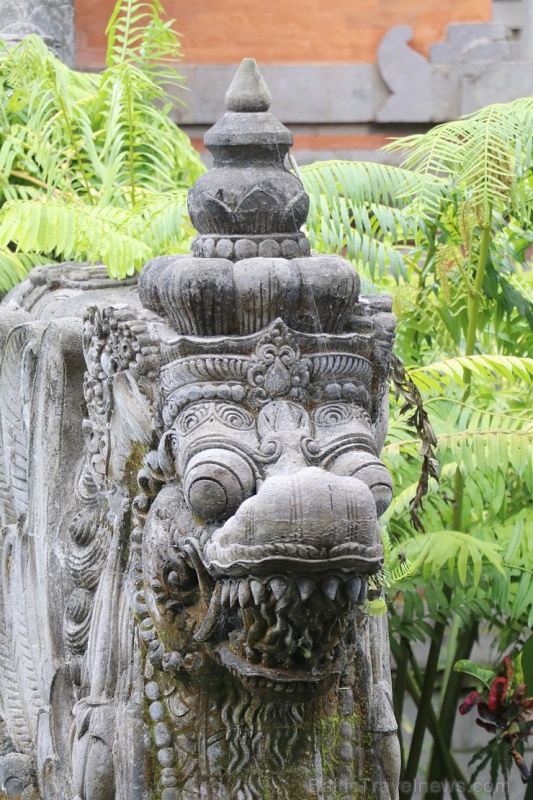 Travelnews.lv iepazīst ainavisku Bali viesnīcu «Padma Resort Ubud». Atbalsta: «Turkish Airlines» un «365 Brīvdienas» Travelnews.lv iepazīst ainavisku Bali viesnīcu «Padma Resort Ubud». Atbalsta: «Turkish Airlines» un «365 Brīvdienas» 279179