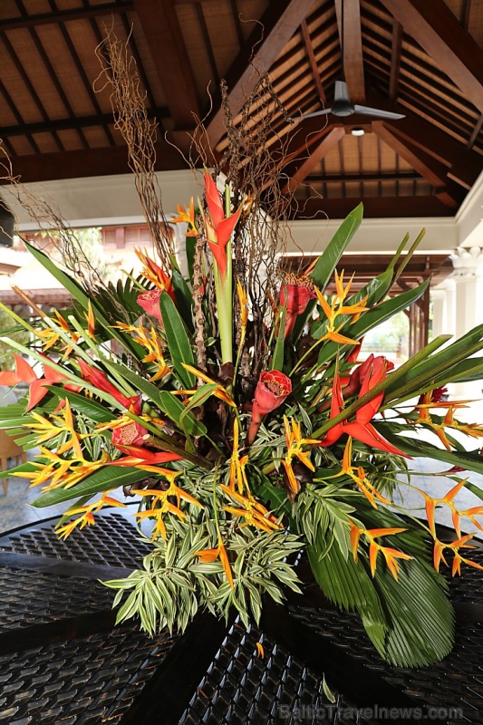 Travelnews.lv iepazīst ainavisku Bali viesnīcu «Padma Resort Ubud». Atbalsta: «Turkish Airlines» un «365 Brīvdienas» Travelnews.lv iepazīst ainavisku Bali viesnīcu «Padma Resort Ubud». Atbalsta: «Turkish Airlines» un «365 Brīvdienas» 279180