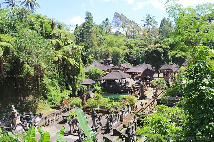 Travelnews.lv apmeklē avotu templi «Pura Gunung Kawi» Bali salā. Atbalsta: «Turkish Airlines» un «365 Brīvdienas» Travelnews.lv apmeklē avotu templi «Pura Gunung Kawi» Bali salā. Atbalsta: «Turkish Airlines» un «365 Brīvdienas» 279227